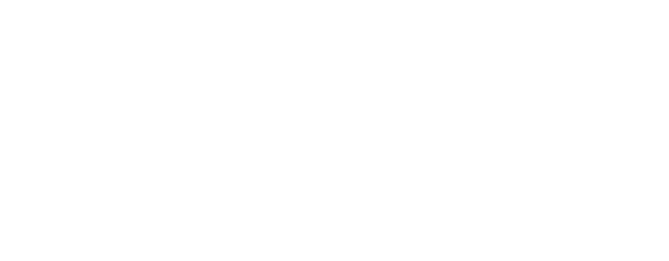 Sterilize Service S.A.S.